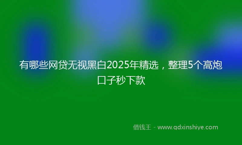 有哪些网贷无视黑白2025年精选，整理5个高炮口子秒下款