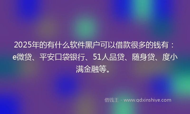 2025年的有什么软件黑户可以借款很多的钱有：e微贷、平安口袋银行、51人品贷、随身贷、度小满金融等。