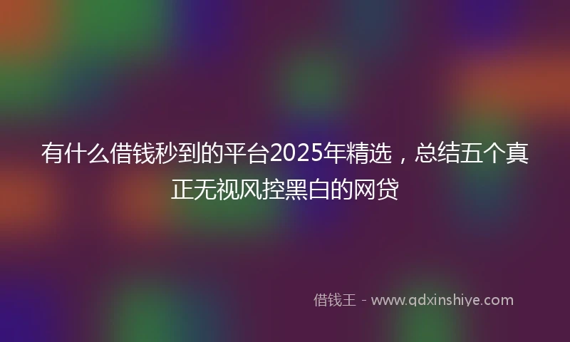 有什么借钱秒到的平台2025年精选，总结五个真正无视风控黑白的网贷