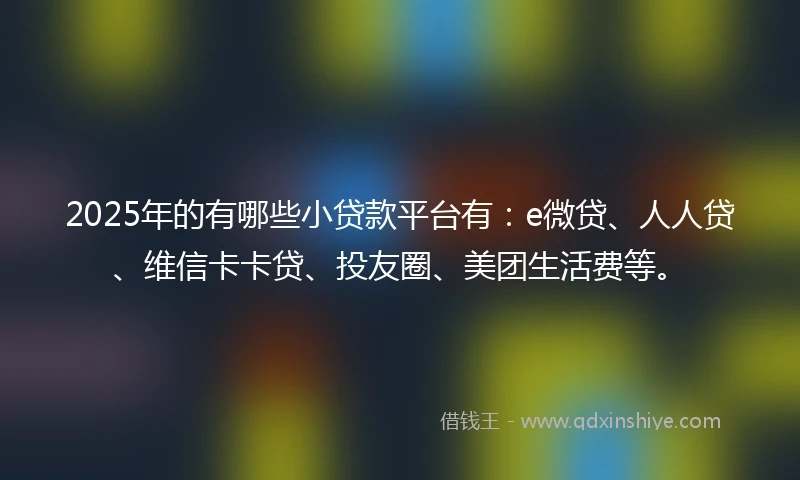 2025年的有哪些小贷款平台有：e微贷、人人贷、维信卡卡贷、投友圈、美团生活费等。