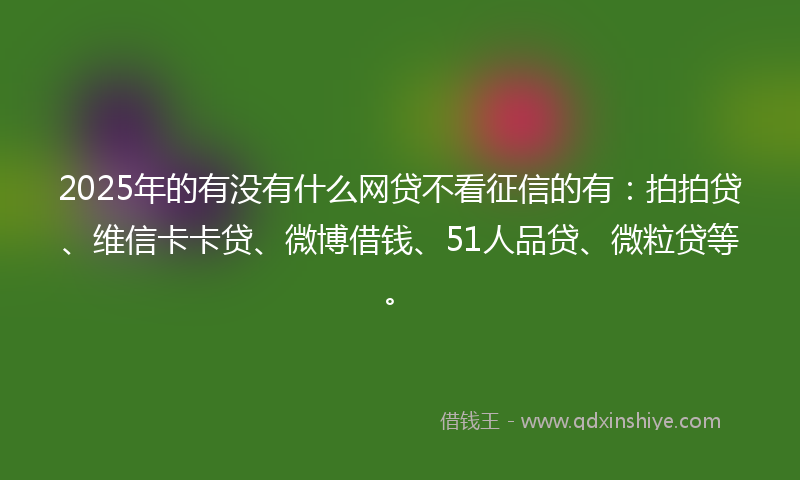 2025年的有没有什么网贷不看征信的有：拍拍贷、维信卡卡贷、微博借钱、51人品贷、微粒贷等。
