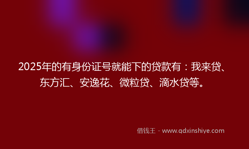 2025年的有身份证号就能下的贷款有：我来贷、东方汇、安逸花、微粒贷、滴水贷等。