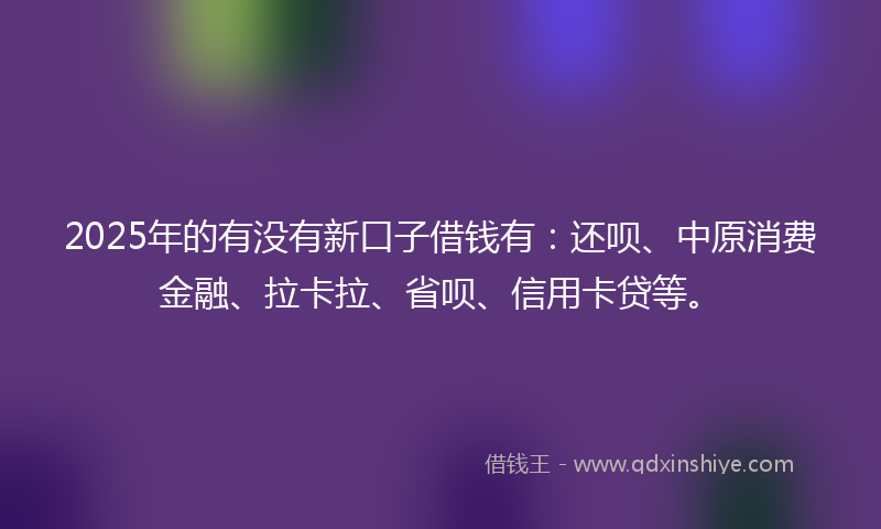 2025年的有没有新口子借钱有：还呗、中原消费金融、拉卡拉、省呗、信用卡贷等。