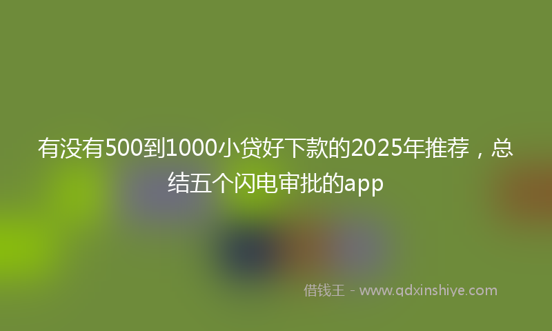 有没有500到1000小贷好下款的2025年推荐，总结五个闪电审批的app