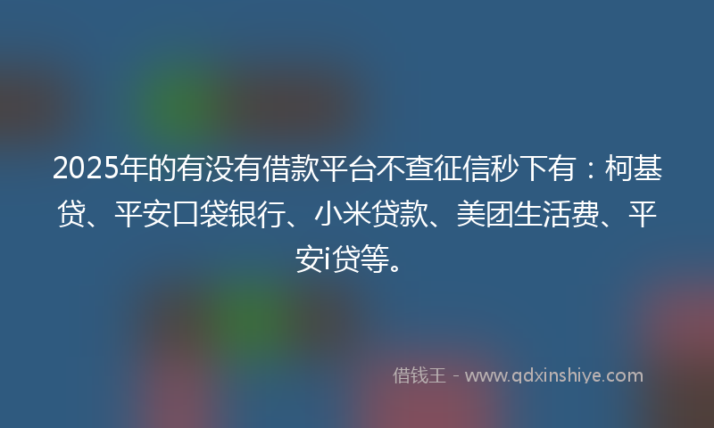 2025年的有没有借款平台不查征信秒下有：柯基贷、平安口袋银行、小米贷款、美团生活费、平安i贷等。