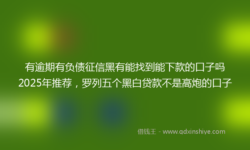 有逾期有负债征信黑有能找到能下款的口子吗2025年推荐，罗列五个黑白贷款不是高炮的口子