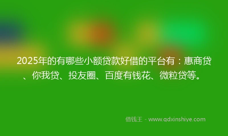 2025年的有哪些小额贷款好借的平台有：惠商贷、你我贷、投友圈、百度有钱花、微粒贷等。