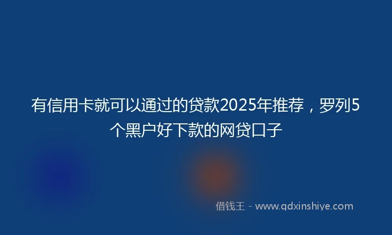 有信用卡就可以通过的贷款2025年推荐，罗列5个黑户好下款的网贷口子