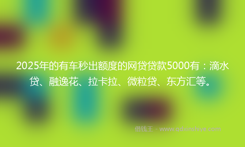2025年的有车秒出额度的网贷贷款5000有：滴水贷、融逸花、拉卡拉、微粒贷、东方汇等。