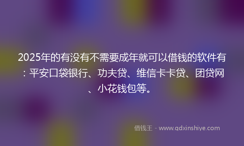 2025年的有没有不需要成年就可以借钱的软件有：平安口袋银行、功夫贷、维信卡卡贷、团贷网、小花钱包等。