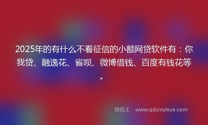 2025年的有什么不看征信的小额网贷软件有：你我贷、融逸花、省呗、微博借钱、百度有钱花等。