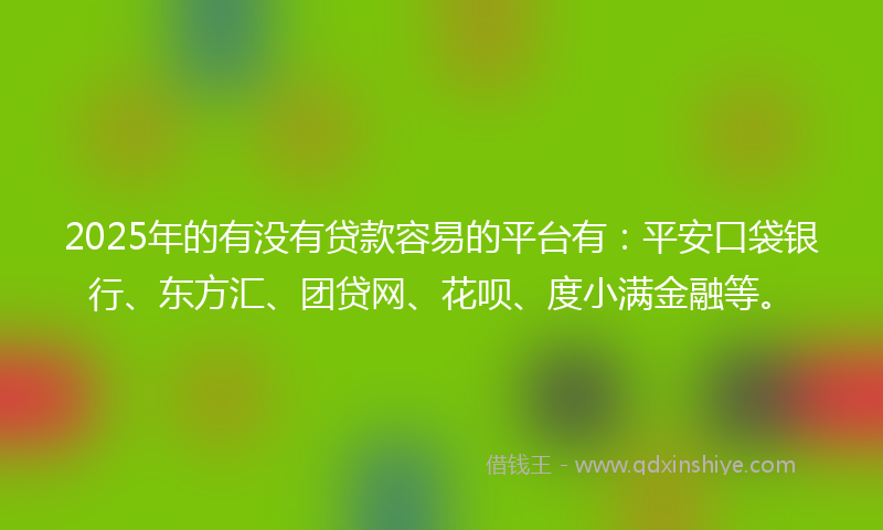 2025年的有没有贷款容易的平台有：平安口袋银行、东方汇、团贷网、花呗、度小满金融等。