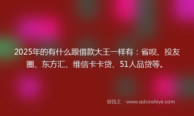 2025年的有什么跟借款大王一样有：省呗、投友圈、东方汇、维信卡卡贷、51人品贷等。
