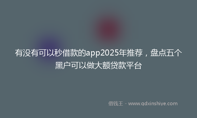 有没有可以秒借款的app2025年推荐，盘点五个黑户可以做大额贷款平台