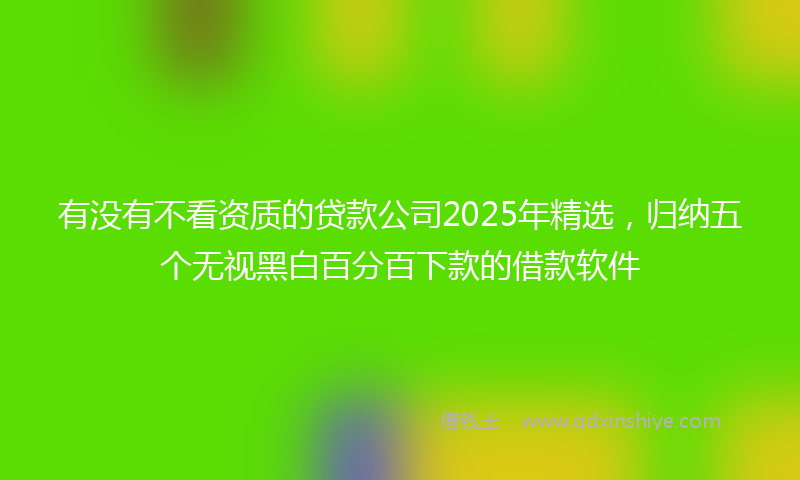 有没有不看资质的贷款公司2025年精选，归纳五个无视黑白百分百下款的借款软件