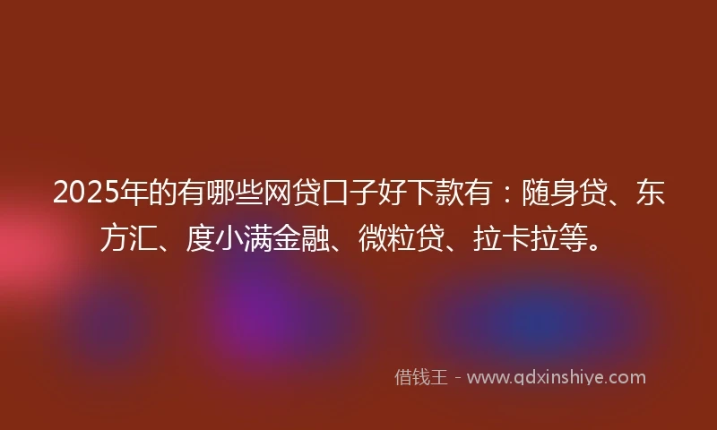 2025年的有哪些网贷口子好下款有：随身贷、东方汇、度小满金融、微粒贷、拉卡拉等。
