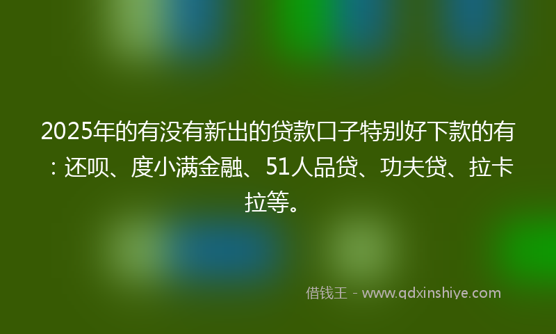 2025年的有没有新出的贷款口子特别好下款的有：还呗、度小满金融、51人品贷、功夫贷、拉卡拉等。