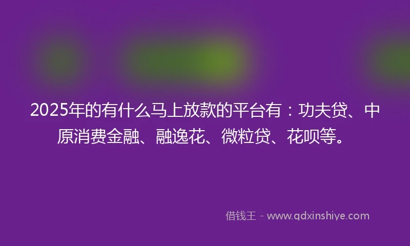2025年的有什么马上放款的平台有：功夫贷、中原消费金融、融逸花、微粒贷、花呗等。