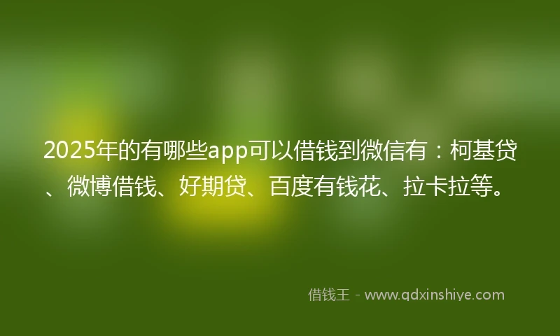 2025年的有哪些app可以借钱到微信有：柯基贷、微博借钱、好期贷、百度有钱花、拉卡拉等。
