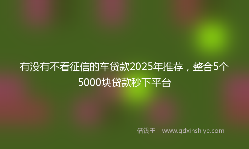 有没有不看征信的车贷款2025年推荐，整合5个5000块贷款秒下平台