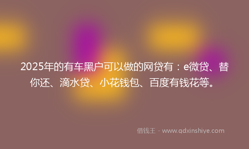 2025年的有车黑户可以做的网贷有：e微贷、替你还、滴水贷、小花钱包、百度有钱花等。