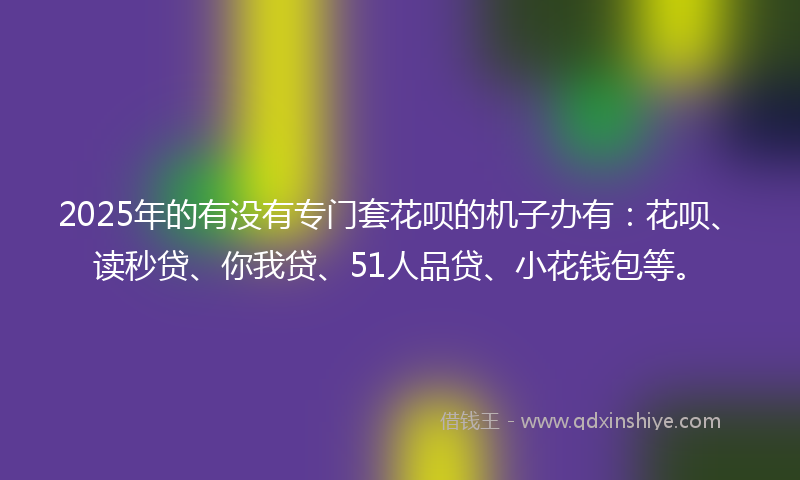 2025年的有没有专门套花呗的机子办有：花呗、读秒贷、你我贷、51人品贷、小花钱包等。