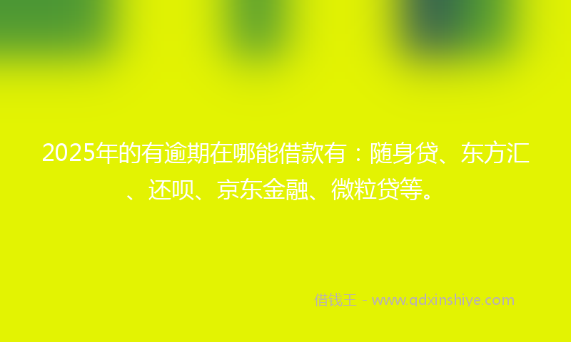 2025年的有逾期在哪能借款有：随身贷、东方汇、还呗、京东金融、微粒贷等。