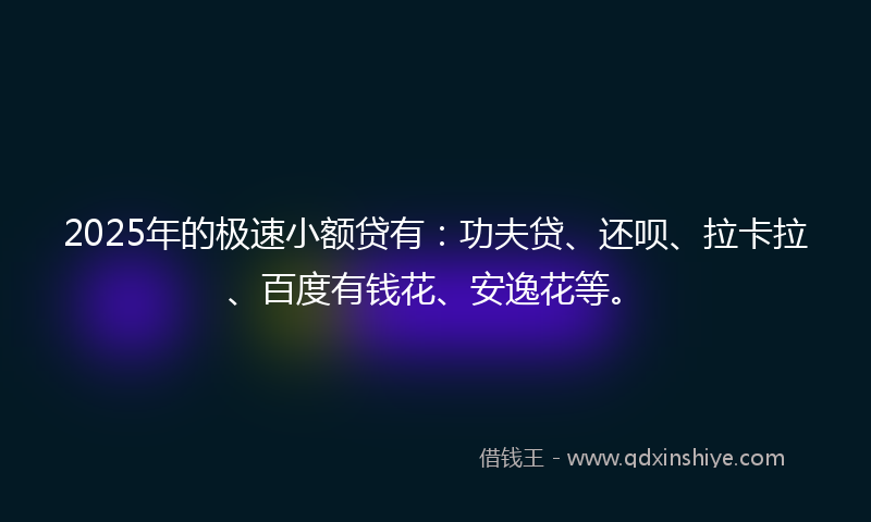 2025年的极速小额贷有：功夫贷、还呗、拉卡拉、百度有钱花、安逸花等。