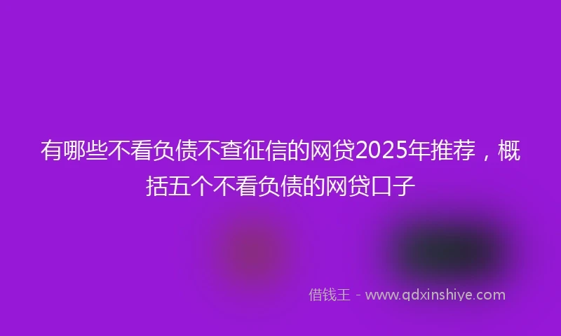 有哪些不看负债不查征信的网贷2025年推荐，概括五个不看负债的网贷口子