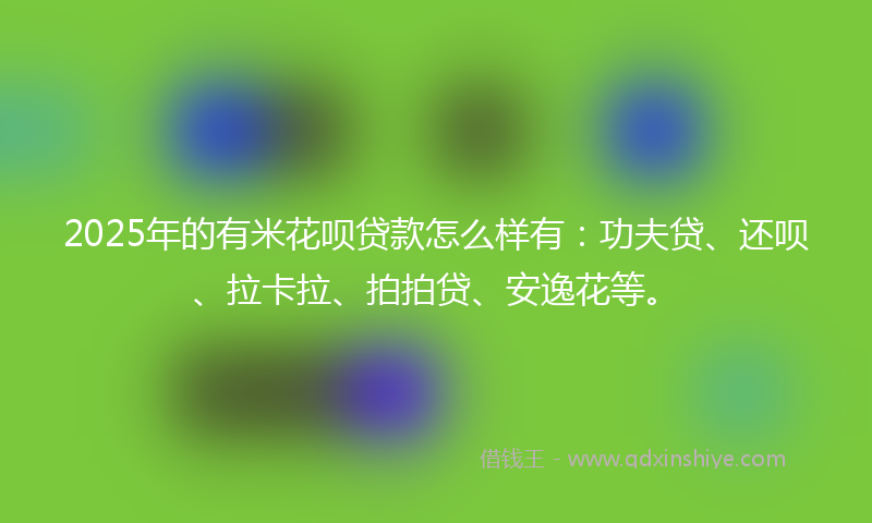2025年的有米花呗贷款怎么样有：功夫贷、还呗、拉卡拉、拍拍贷、安逸花等。