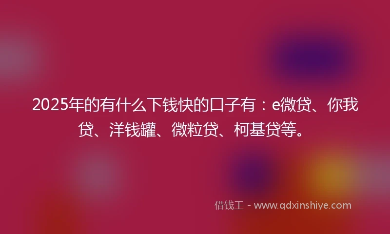 2025年的有什么下钱快的口子有：e微贷、你我贷、洋钱罐、微粒贷、柯基贷等。