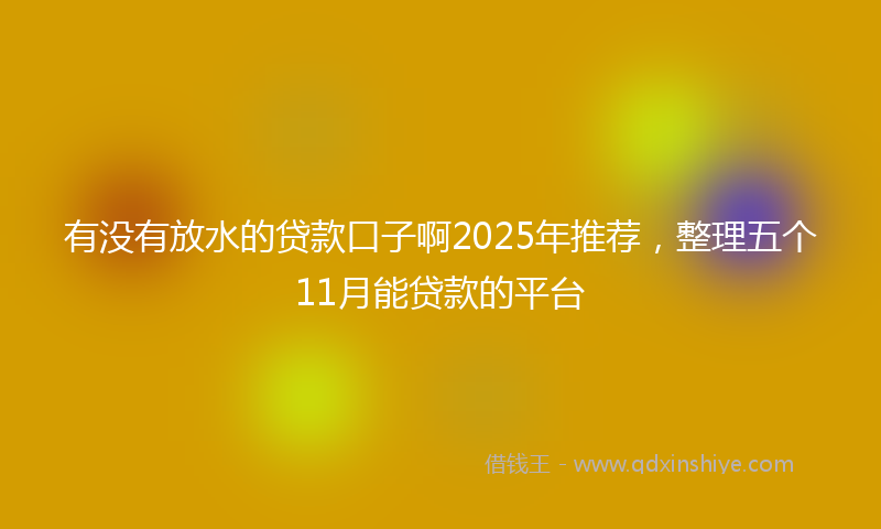 有没有放水的贷款口子啊2025年推荐，整理五个11月能贷款的平台