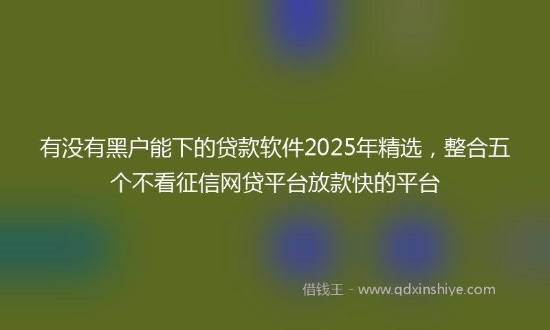 有没有黑户能下的贷款软件2025年精选，整合五个不看征信网贷平台放款快的平台