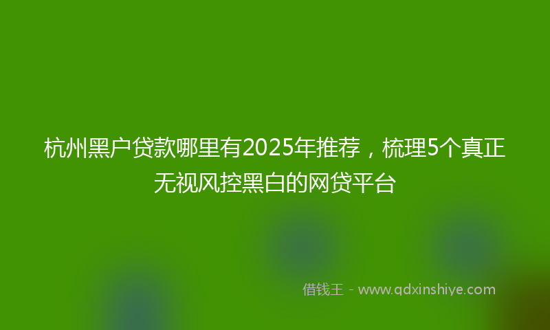 杭州黑户贷款哪里有2025年推荐，梳理5个真正无视风控黑白的网贷平台