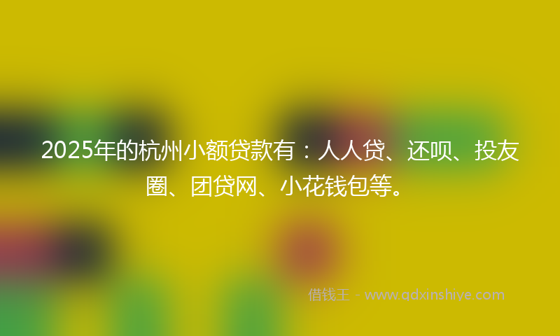 2025年的杭州小额贷款有：人人贷、还呗、投友圈、团贷网、小花钱包等。