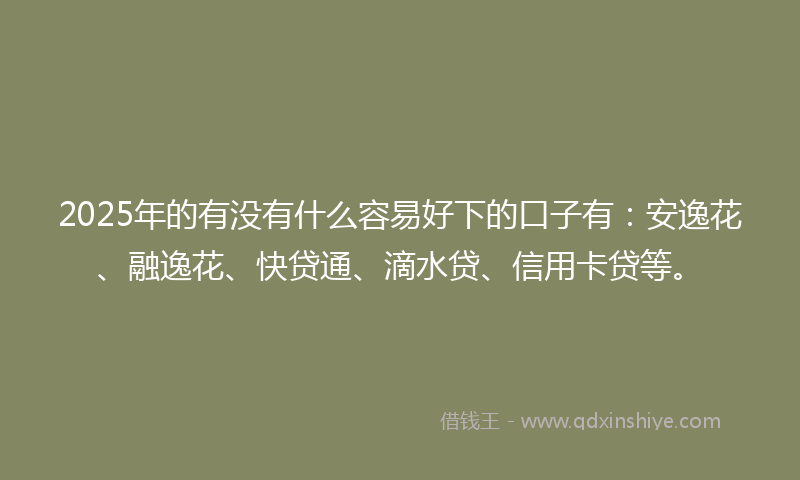 2025年的有没有什么容易好下的口子有：安逸花、融逸花、快贷通、滴水贷、信用卡贷等。