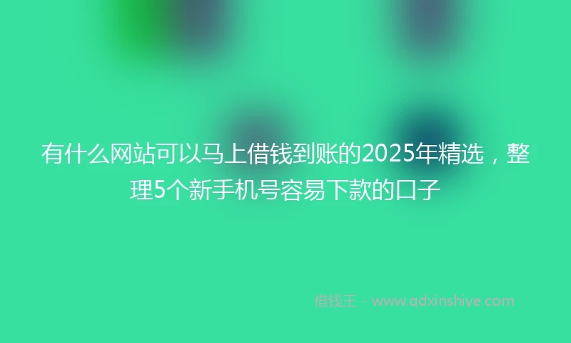 有什么网站可以马上借钱到账的2025年精选，整理5个新手机号容易下款的口子