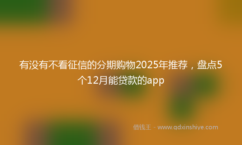 有没有不看征信的分期购物2025年推荐，盘点5个12月能贷款的app