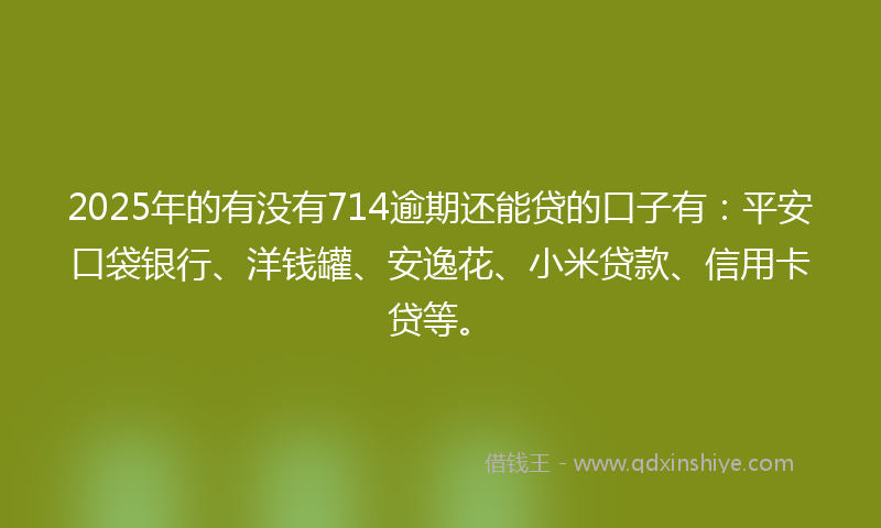 2025年的有没有714逾期还能贷的口子有：平安口袋银行、洋钱罐、安逸花、小米贷款、信用卡贷等。