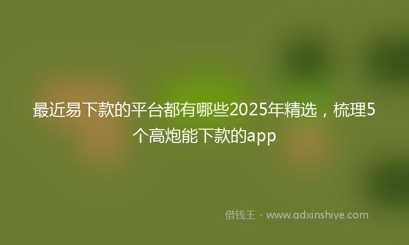 最近易下款的平台都有哪些2025年精选,梳理5个高炮能下款的app