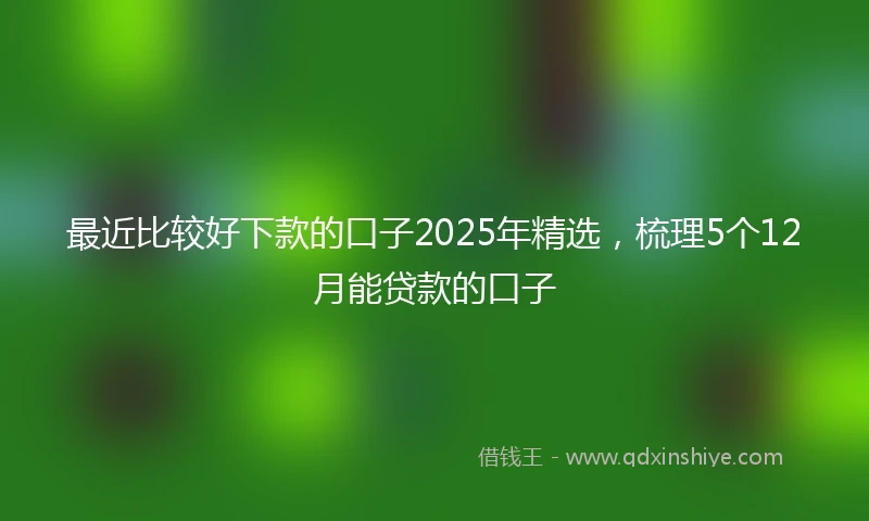 最近比较好下款的口子2025年精选，梳理5个12月能贷款的口子