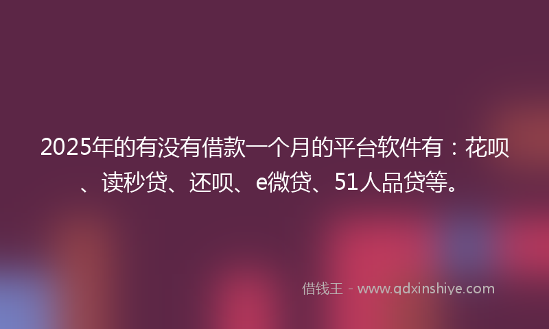 2025年的有没有借款一个月的平台软件有：花呗、读秒贷、还呗、e微贷、51人品贷等。