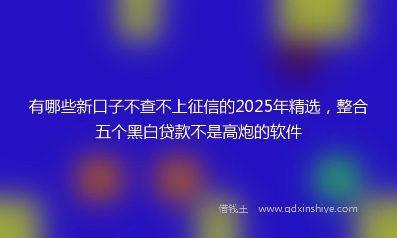 有哪些新口子不查不上征信的2025年精选，整合五个黑白贷款不是高炮的软件