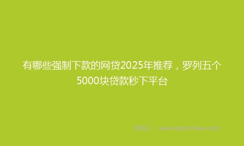 有哪些强制下款的网贷2025年推荐，罗列五个5000块贷款秒下平台