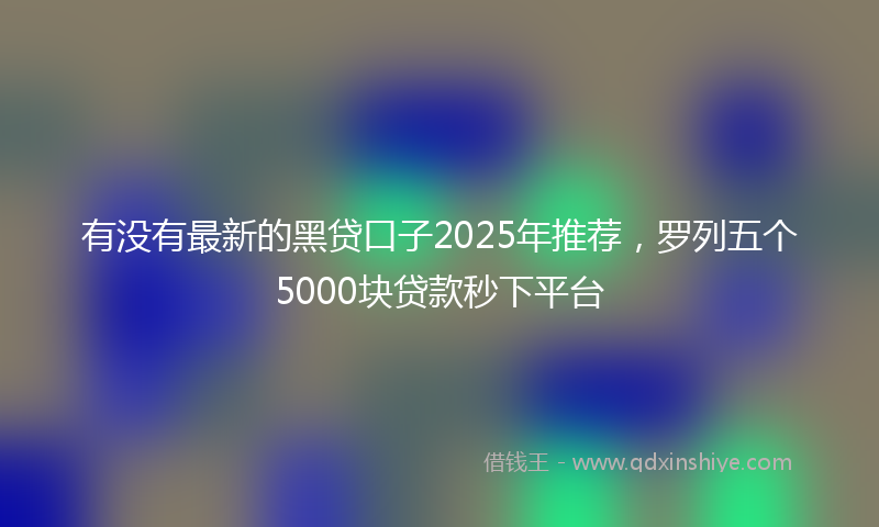 有没有最新的黑贷口子2025年推荐，罗列五个5000块贷款秒下平台