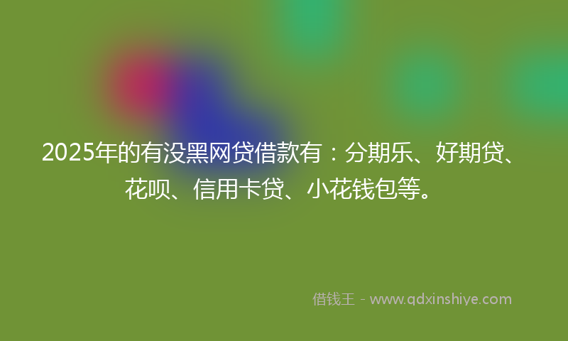 2025年的有没黑网贷借款有：分期乐、好期贷、花呗、信用卡贷、小花钱包等。