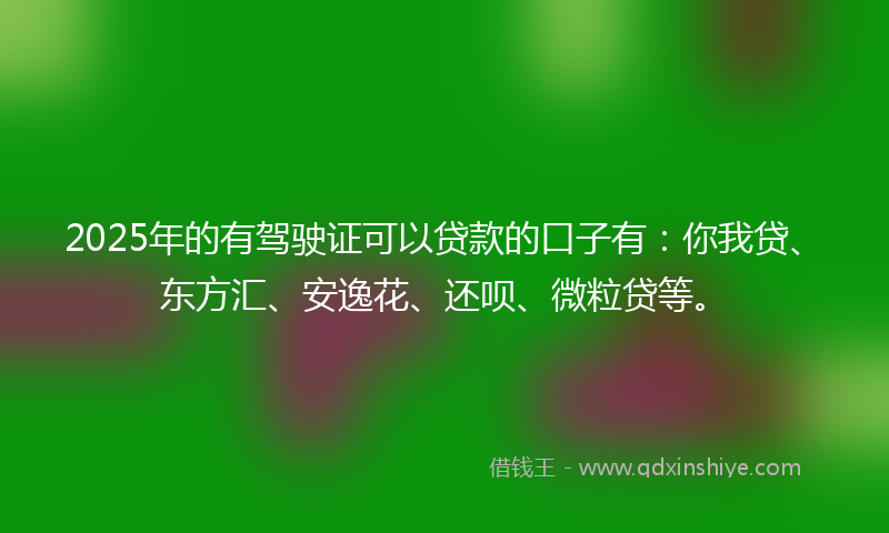 2025年的有驾驶证可以贷款的口子有：你我贷、东方汇、安逸花、还呗、微粒贷等。
