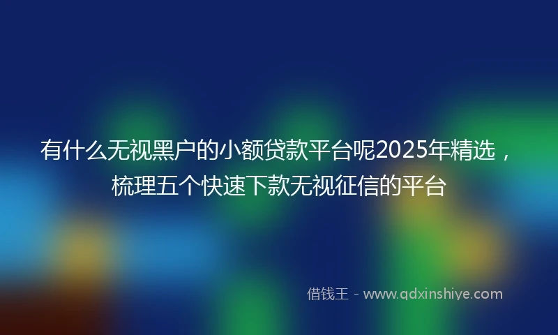 有什么无视黑户的小额贷款平台呢2025年精选，梳理五个快速下款无视征信的平台