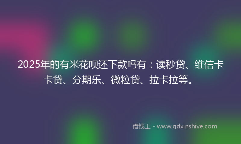 2025年的有米花呗还下款吗有：读秒贷、维信卡卡贷、分期乐、微粒贷、拉卡拉等。