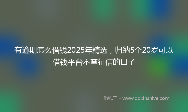 有逾期怎么借钱2025年精选，归纳5个20岁可以借钱平台不查征信的口子